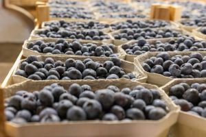 Blaubeeren